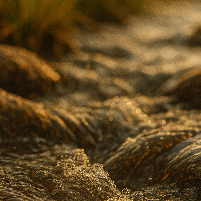 Ein Bachlauf am späten Nachmittag