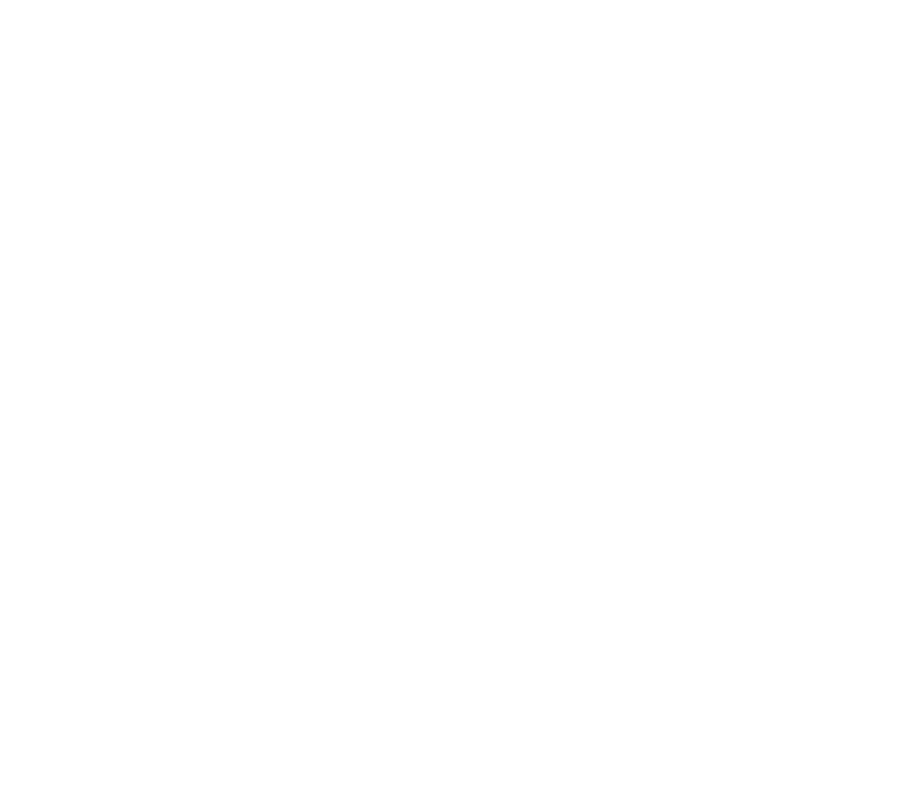 skaadi Logo in weiß mit ®